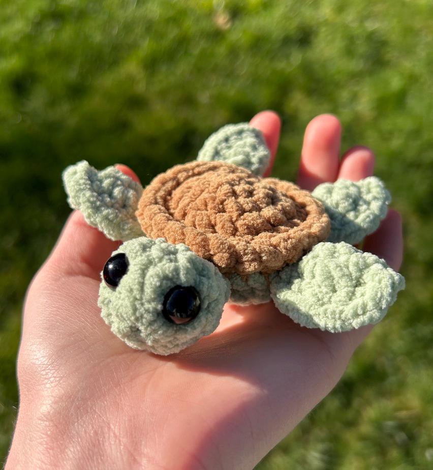 2-in-1 Crochet Sea Turtle Pattern Bundle (Big Sea Turtle and Baby Sea Turtle)