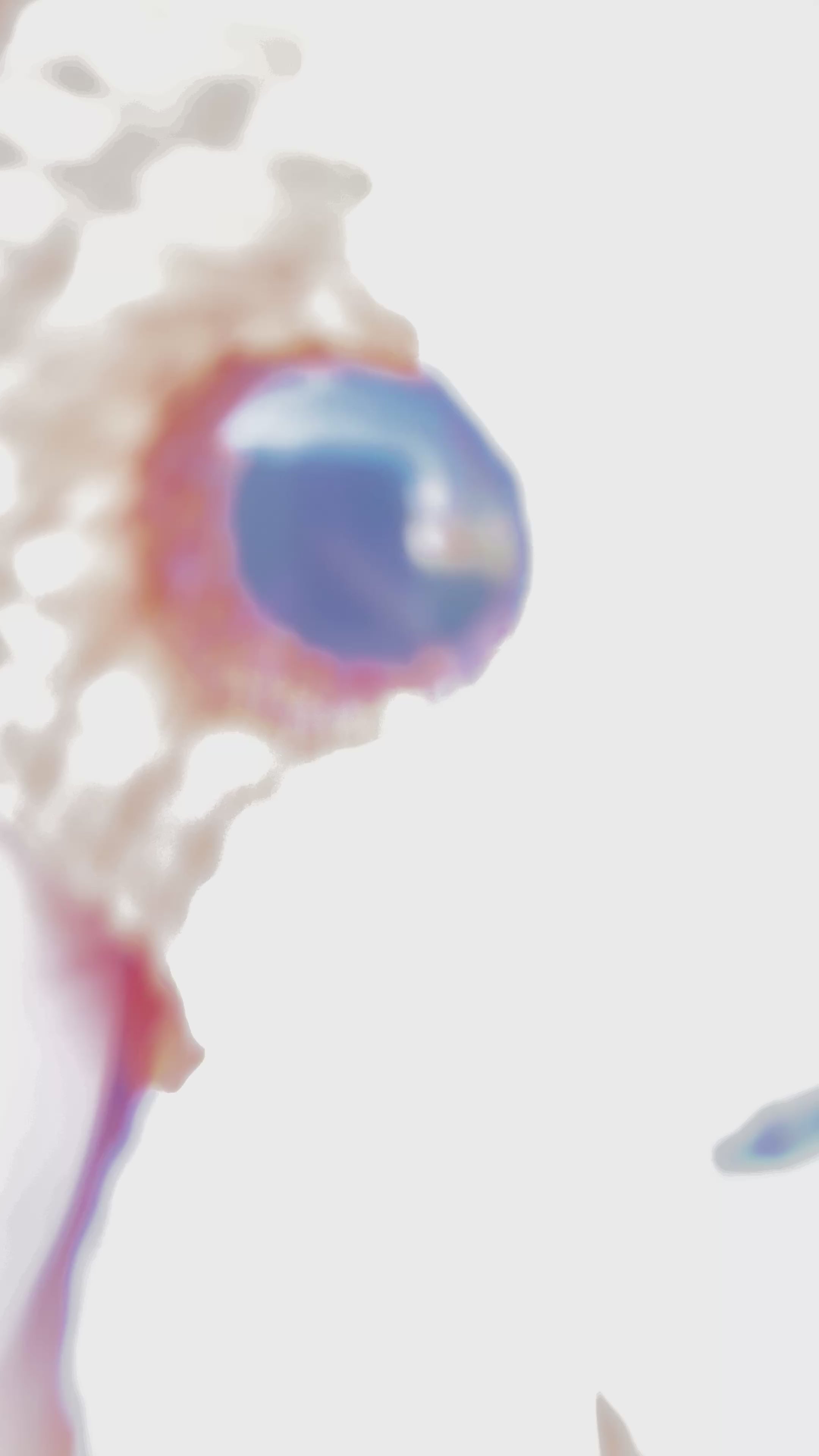 Crochet Corgi Dog Snuggler