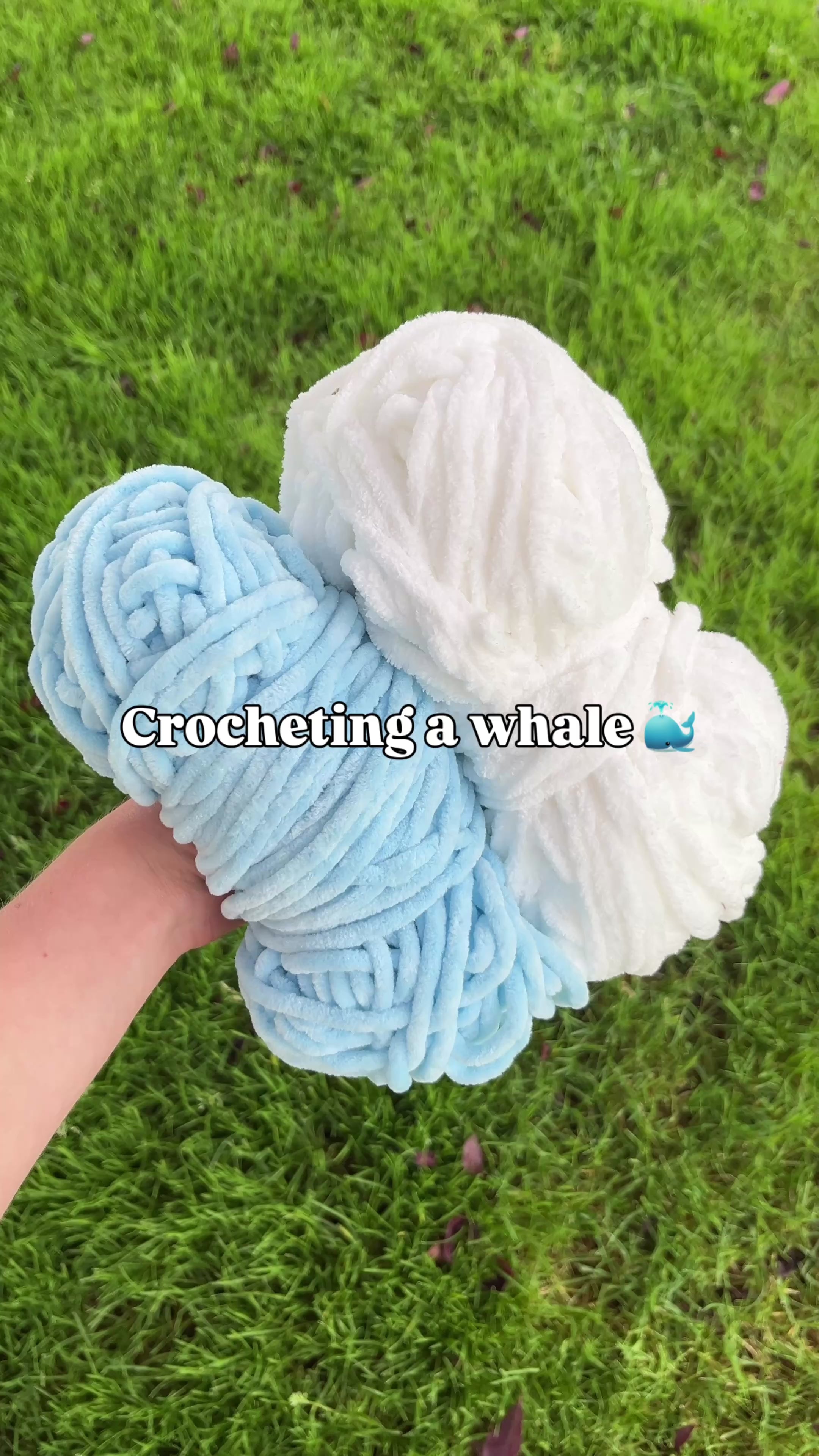 Whale Crochet Plushie